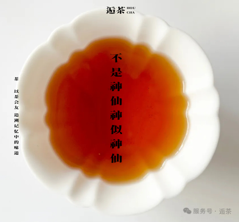 逅茶发展史：邂逅一杯好茶