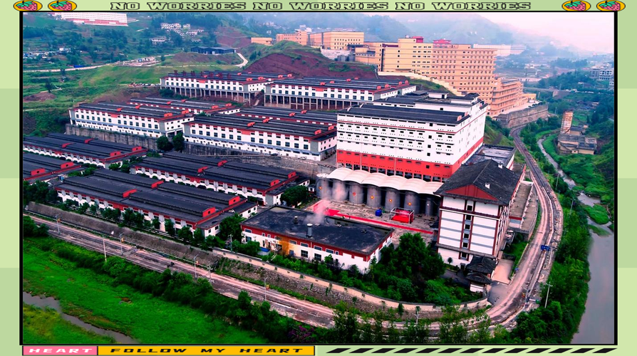 董酒发展史：中国贵州遵义的董酒品牌全解析