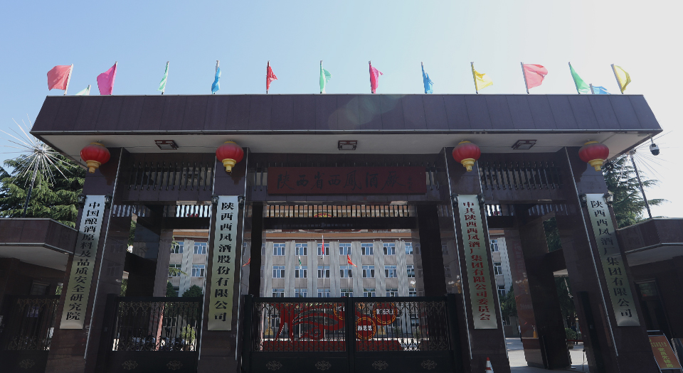 西凤酒 门店实拍