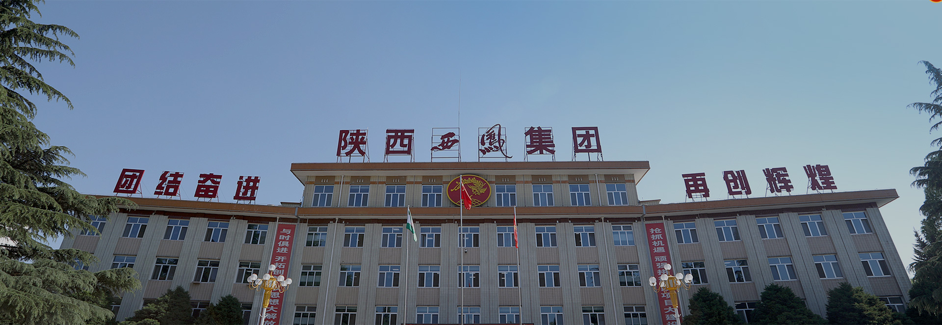 西凤酒 门店展示