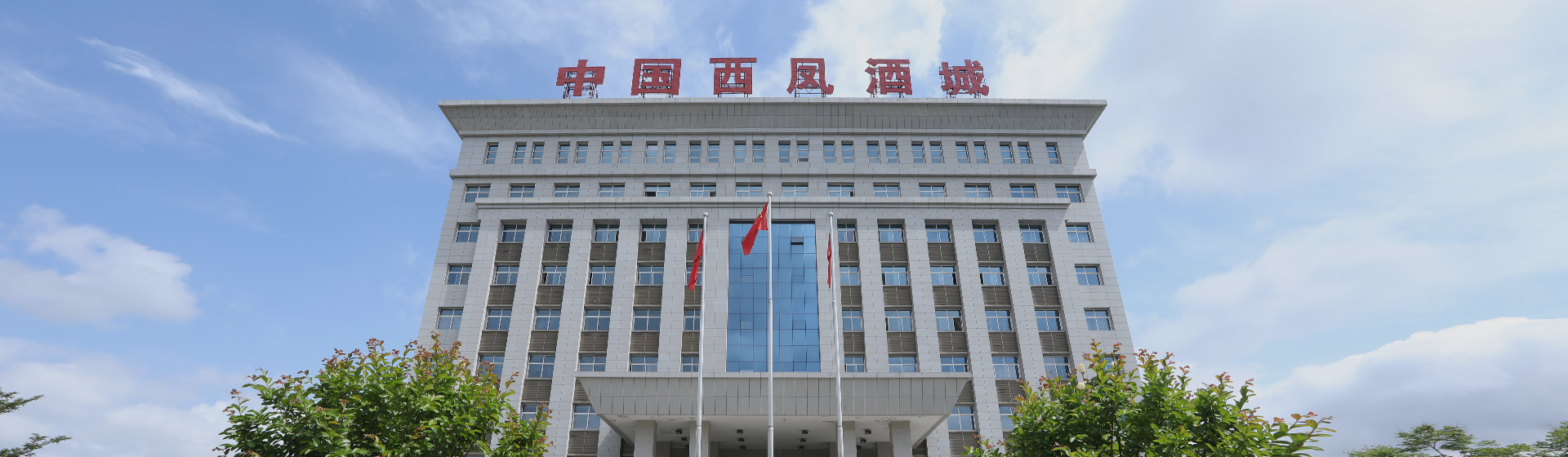 西凤酒 门店实拍