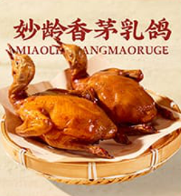 乳鸽