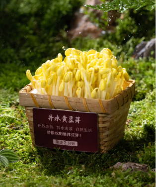 黄豆牙