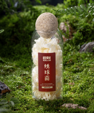 菌菇